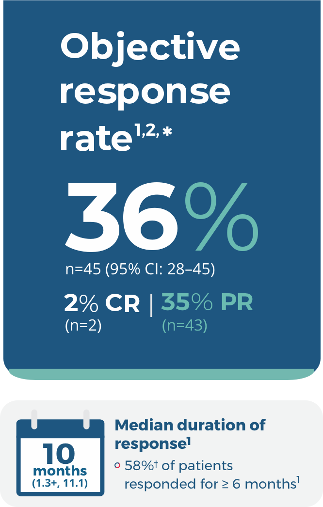 Objective response rate