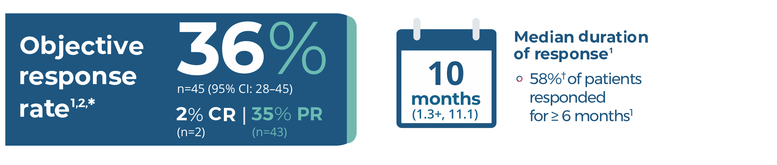 Objective response rate