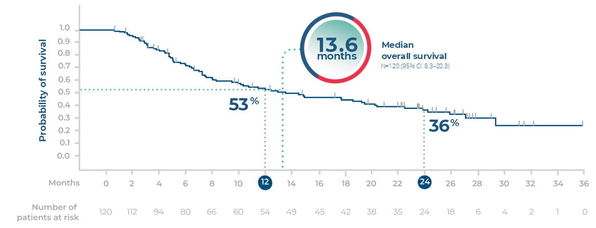 North American patients median overall survival