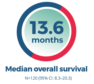 North American patients median overall survival