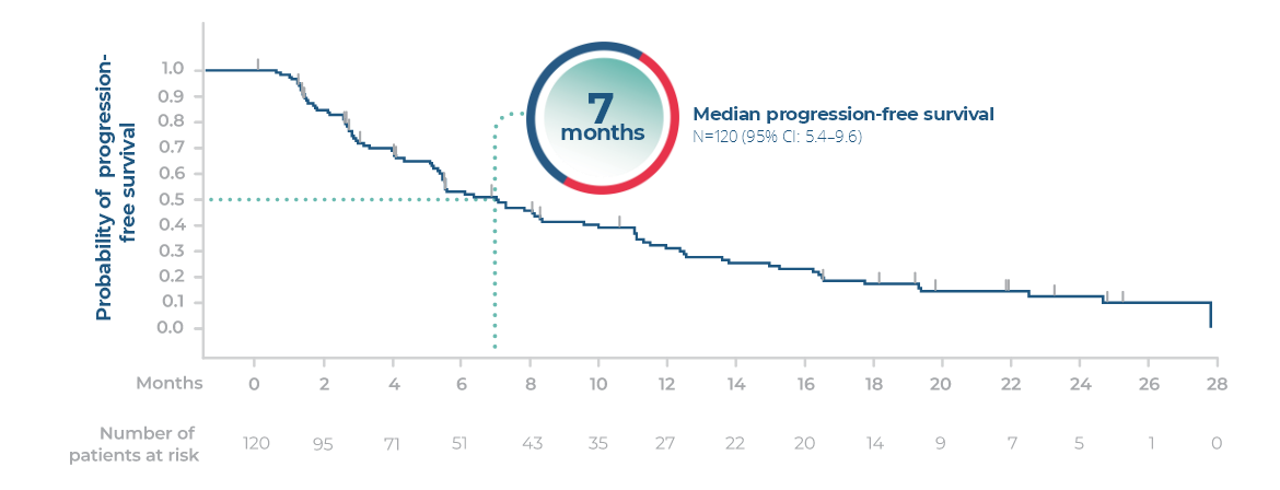 North American patients median progression-free survival