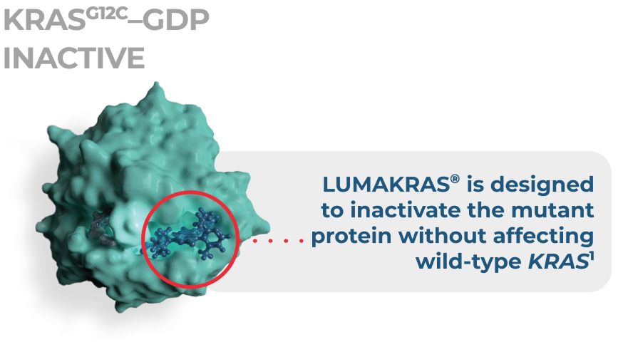 Turquoise molecular structure labeled KRAS^G12C-GDP Inactive   with a red-circled area focused on. Text states Lumakras targets mutant protein without affecting wild type KRAS.