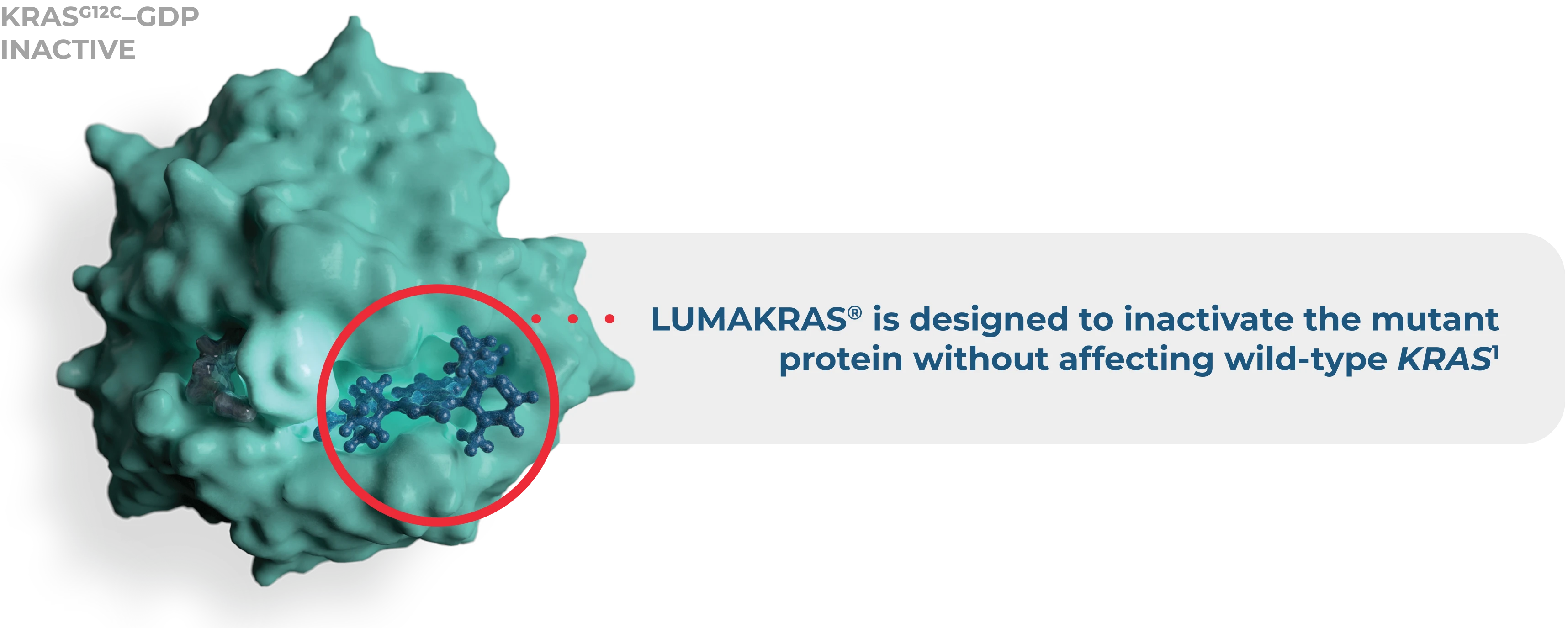 Turquoise molecular structure labeled KRAS^G12C-GDP Inactive with a red-circled area focused on. Text states Lumakras targets mutant protein without affecting wild type KRAS.
