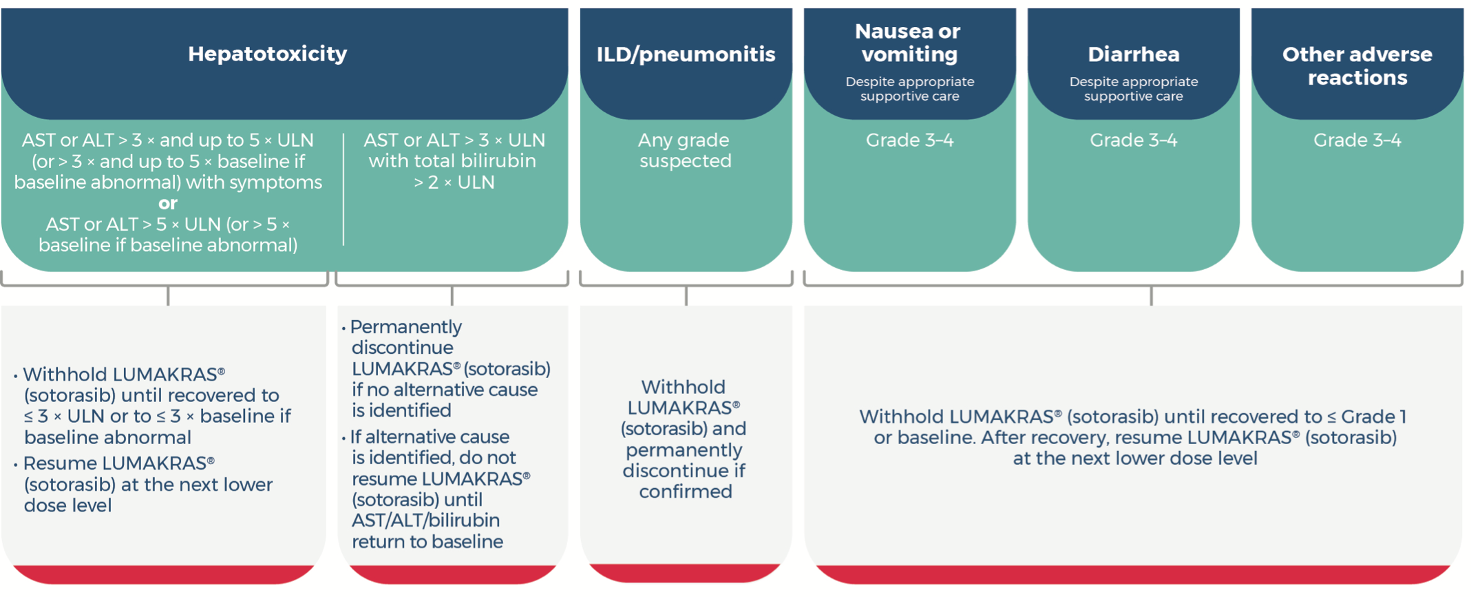 LUMAKRAS® (sotorasib) Dose Modifications for Adverse Reactions