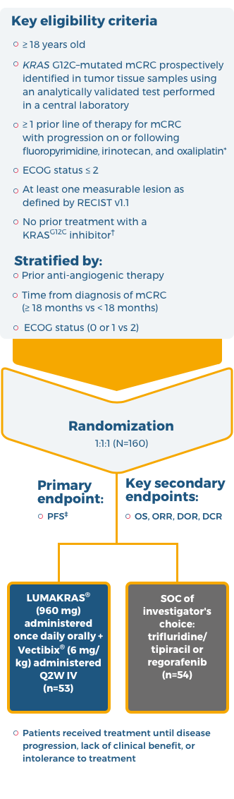 CodeBreaK 300 Study Design | LUMAKRAS® (sotorasib) + Vectibix ...