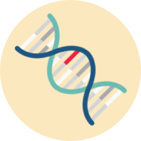 KRAS G12C DNA Strand Icon