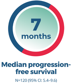 North American patients median progression-free survival